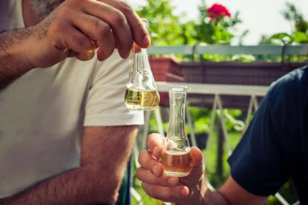 Svetski brend - srpska šljivovica