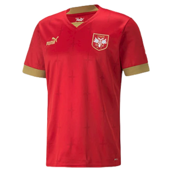 Serbia football jersey printed, Qatar 2022,red,Puma,home-1