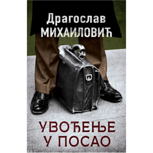 UVODJENJE U POSAO - Dragoslav Mihailović-1