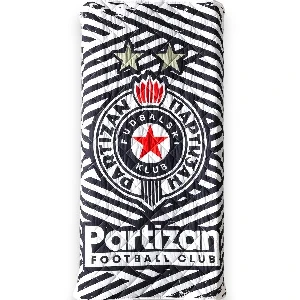 FK PARTIZAN POKRIVAČ PRUGE