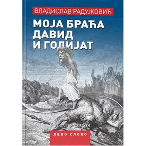 MOJA BRACA DAVID I GOLIJAT - Vladislav Radujkovic